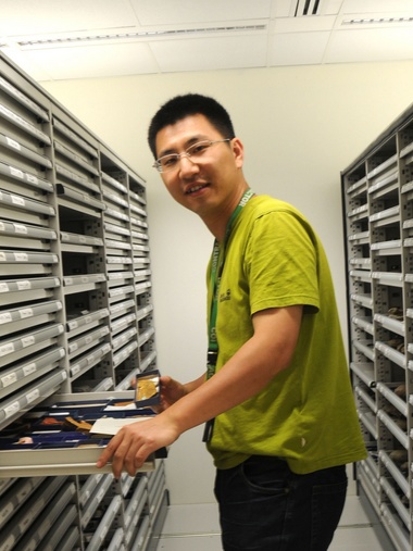 全讯600cc大白菜创新论坛第一千八百零一讲：虫鸣凤舞伴花香：现代陆地生态系统的起源