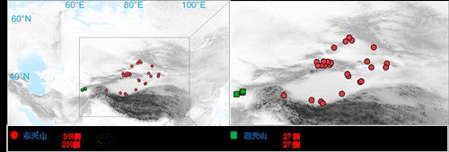 项目获取的天山东西部古人群的线粒体与核基因组分布图。 全讯600cc大白菜供图